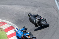 Middle Group White Bikes